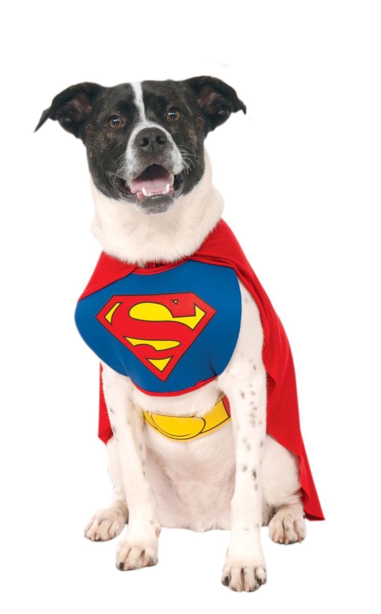 Rubies DC Comics Superman Costume for Dogs or Cats Halloween Party