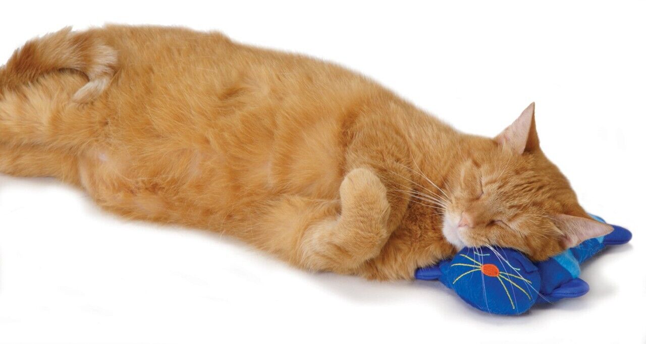 Cuddle Pal Plush Kitty Cat Toy Microwavable Warmth Helps De-Stress Soothe