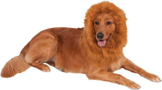 Rubies Deluxe Lion's Mane for Pets Dog Cat Halloween Party Play Time