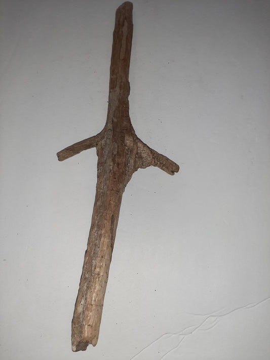 Interesting Driftwood from the Oregon Coast for Aquarium Terrarium Reptile Decor Decoration Pond